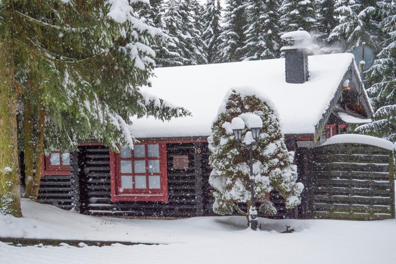 Ferienhaus Naturliebe Winterberg Eksteriør bilde